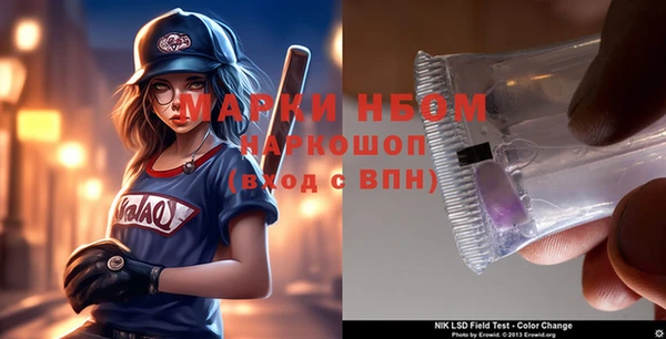 стафф Кодинск