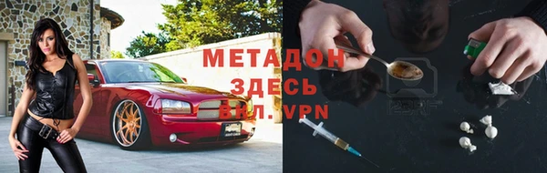 прущие грибы Карпинск