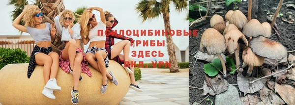 прущие грибы Карпинск