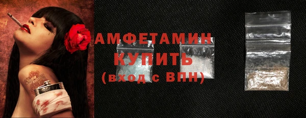 прущие грибы Карпинск