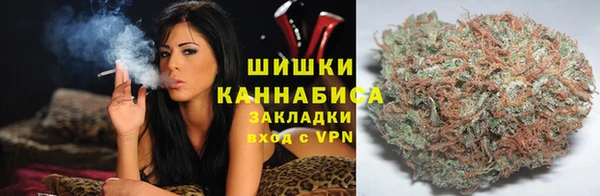 spice Касимов
