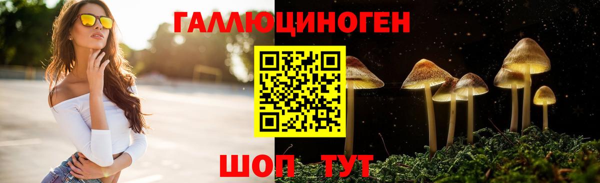 Псилоцибиновые грибы мицелий Кинешма